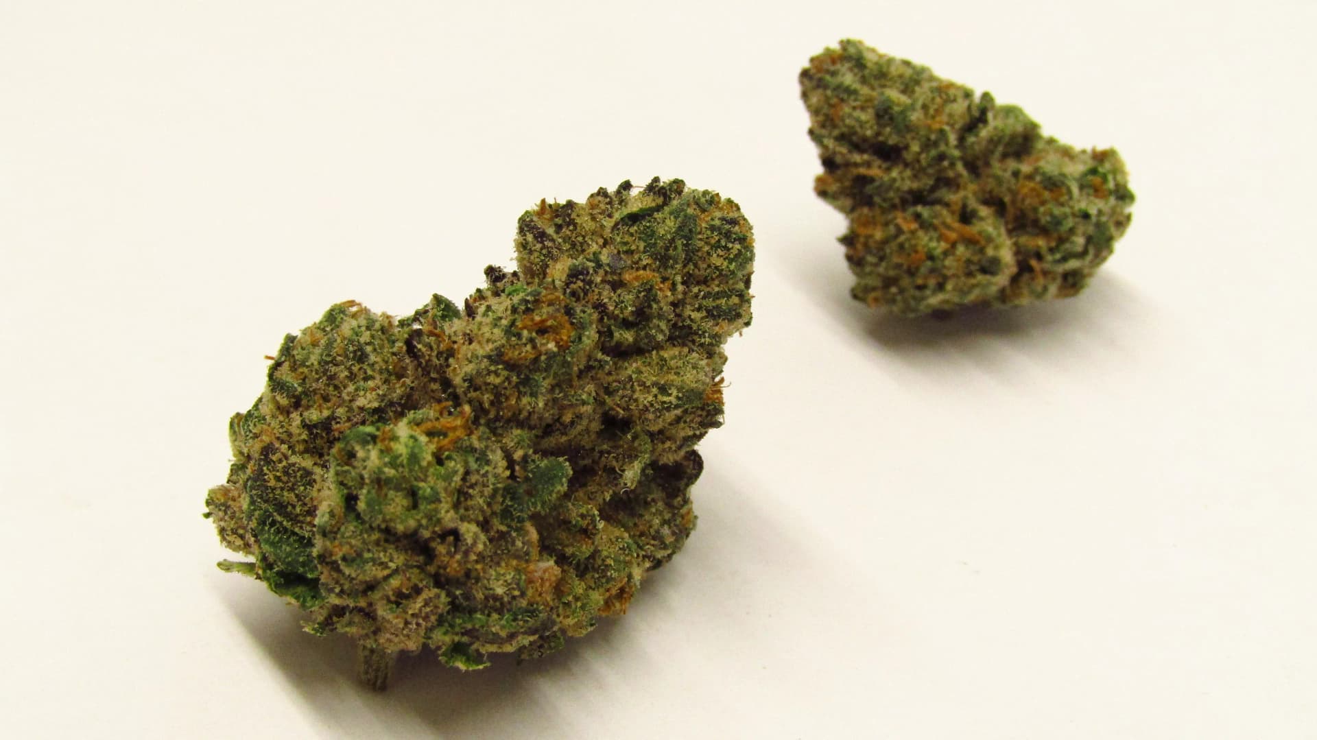 Fort lauderdale weed delivery for Special Occasions