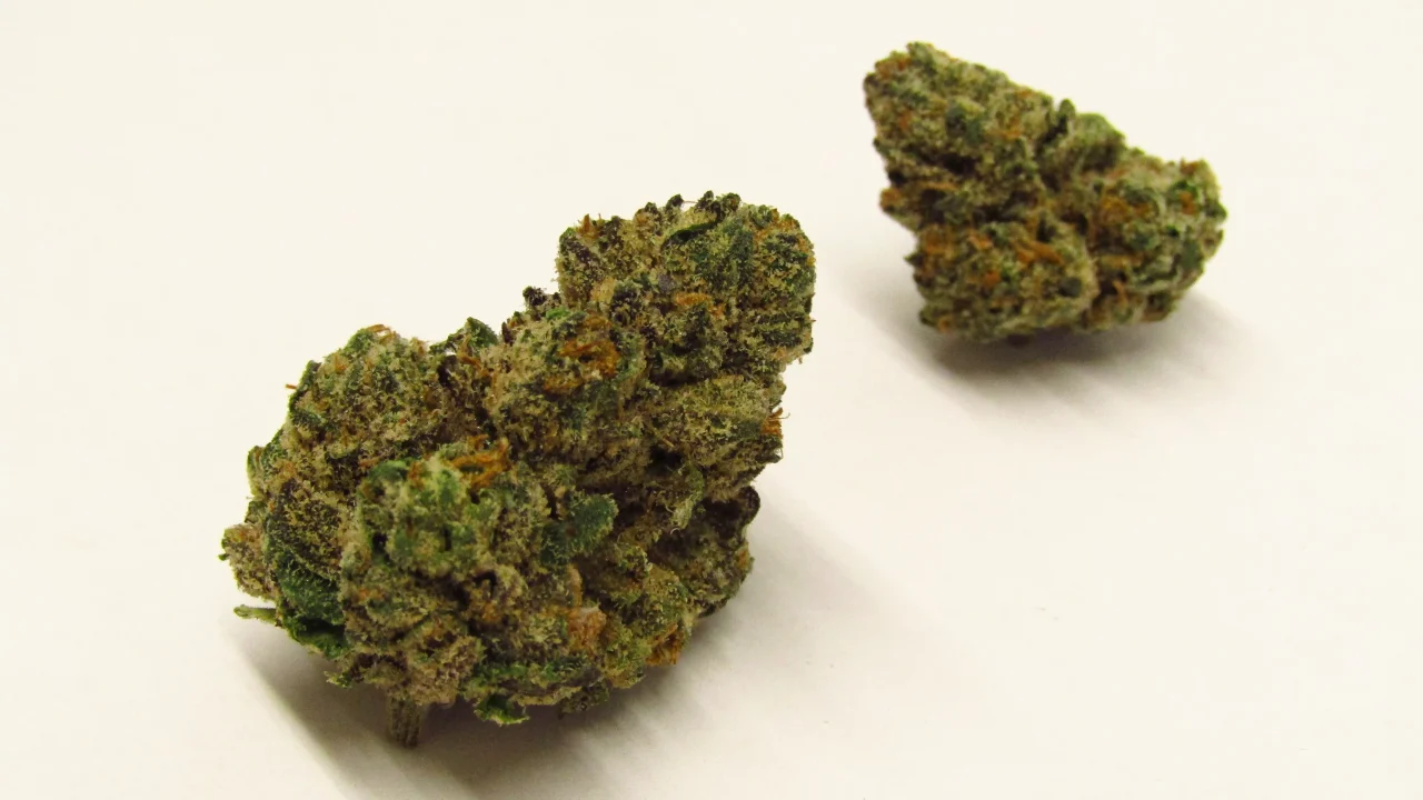 Fort lauderdale weed delivery for Special Occasions